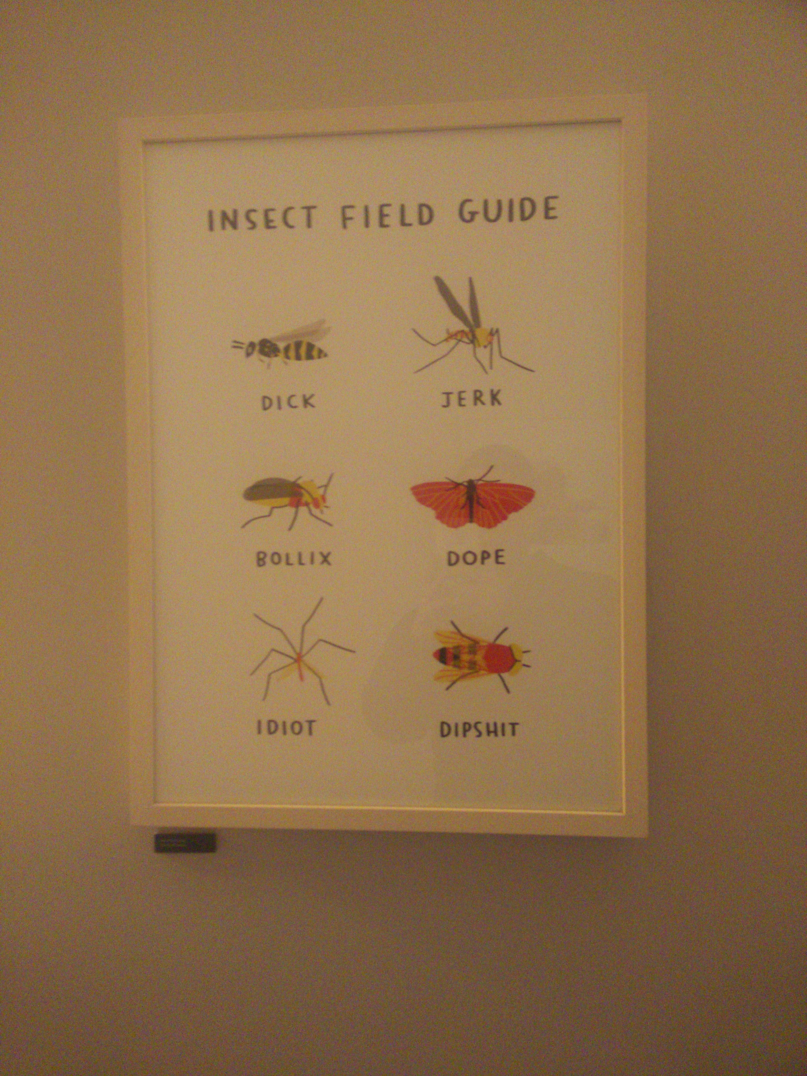 Poster of bugs with profanities below each insect